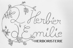 L'herbier d'Emilie -  BIEN-ÊTRE / COIFFURE / BEAUTE / ONGLERIE Figeac
